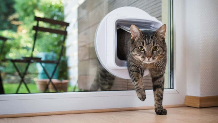 Est-il possible d’installer une chatière dans un vitrage ?