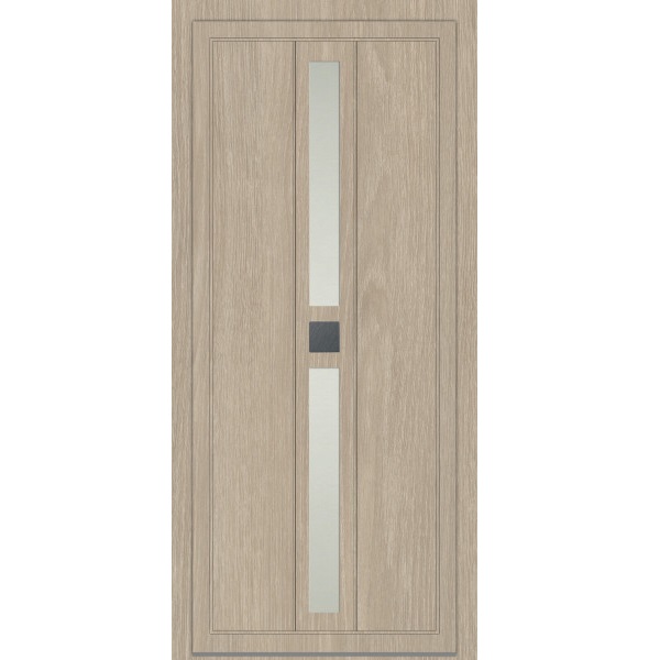 Porte d'entrée PVC Contemporaine